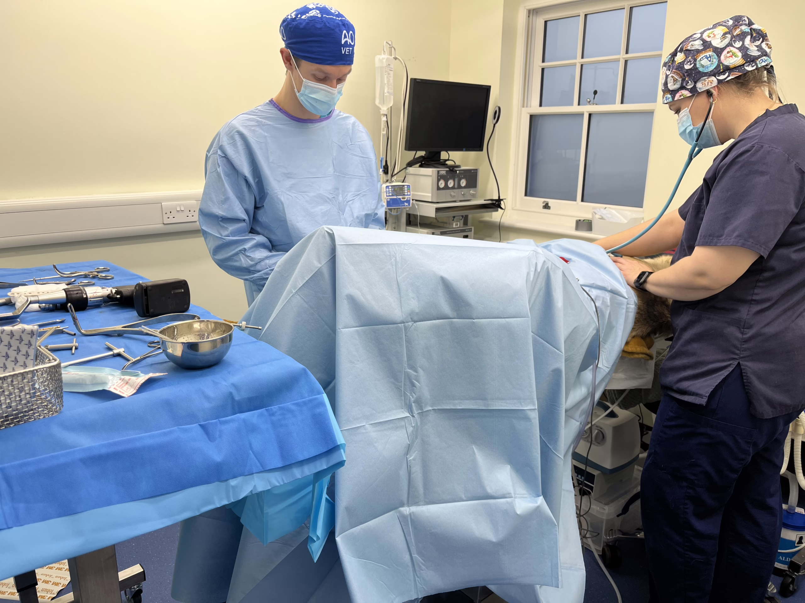 Cruciate surgery operation
